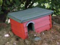 /album/my-local-birding-gallery/box-for-hedgehogs-jpg/